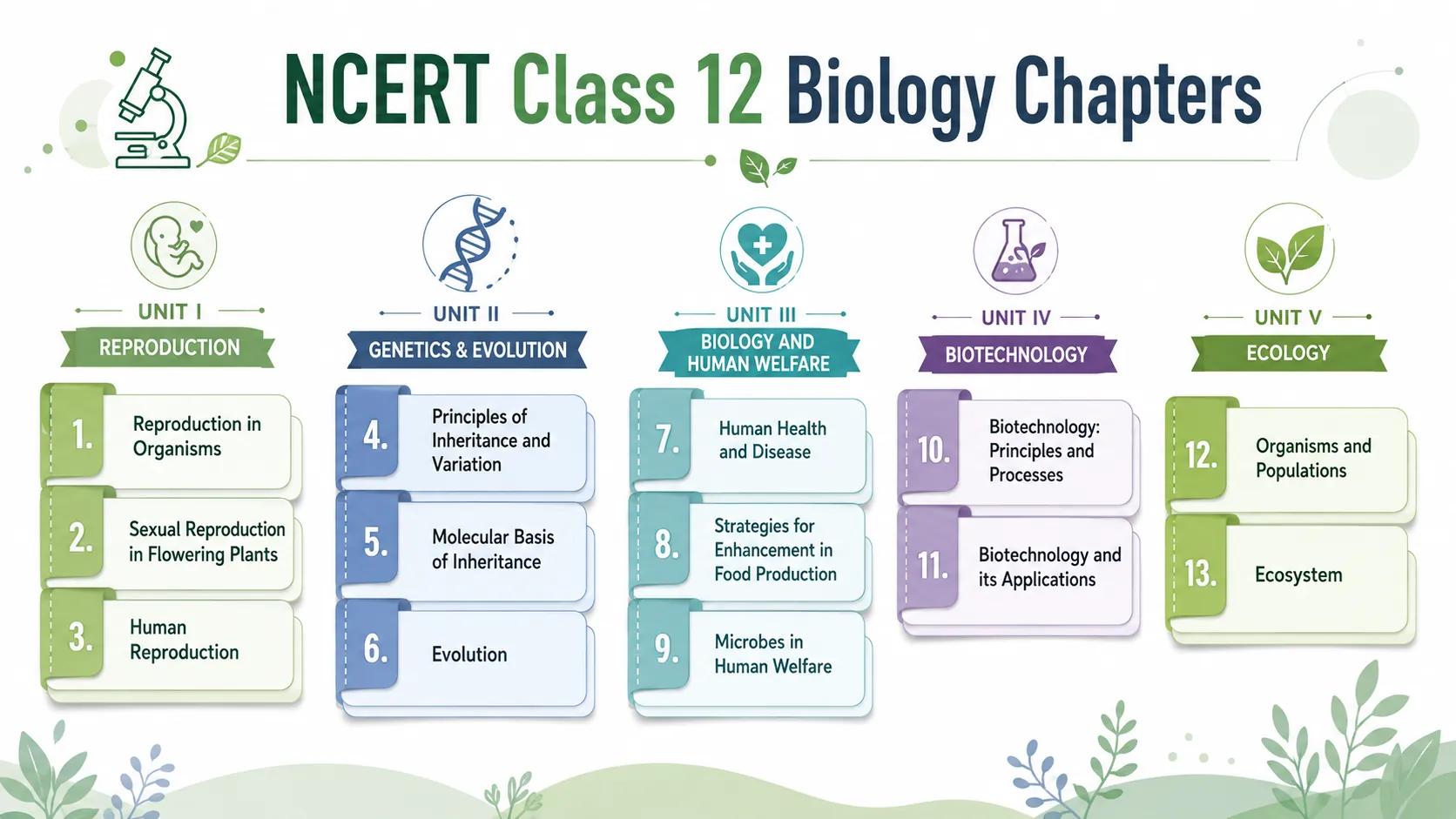NCERT Class 12 Biology Book
